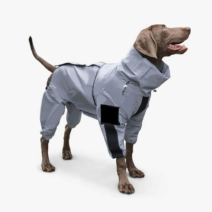 Rain Suit Best Raincoat For Dogs Walbest Cute Pet Dog Raincoat