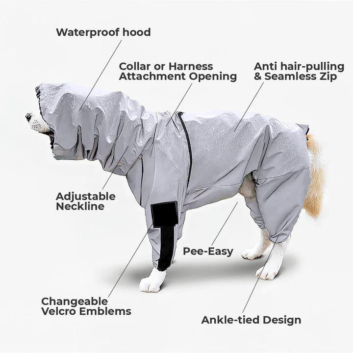 The Ultimate Waterproof Dog Suit