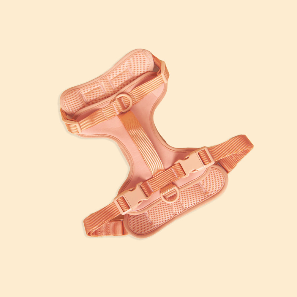 The No Pull Harness - Peach