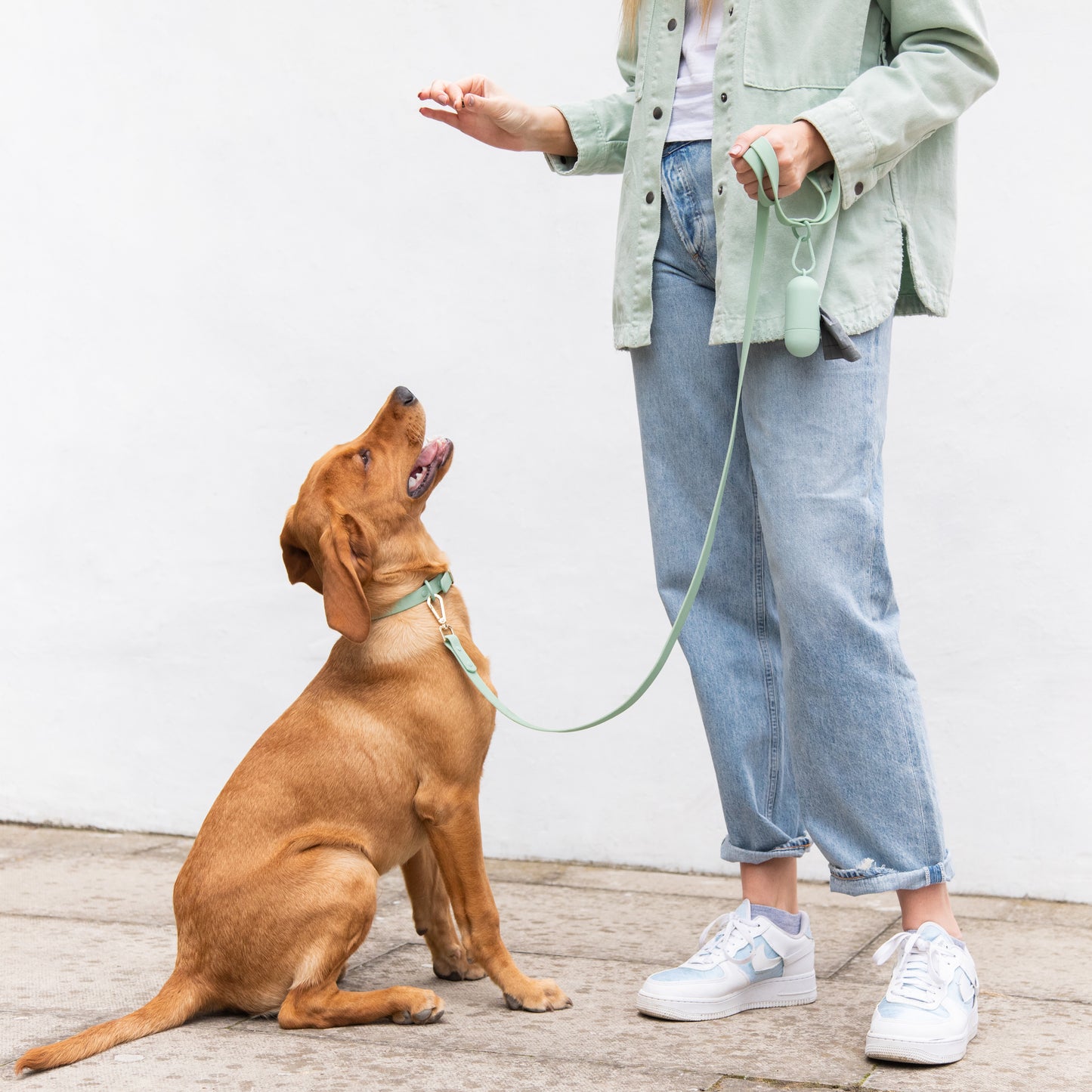 The Double Clip Waterproof Lead - Seafoam