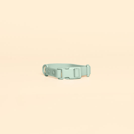The Waterpoof Collar - Seafoam