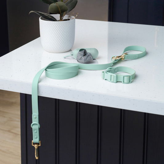The Double Clip Waterproof Lead - Seafoam
