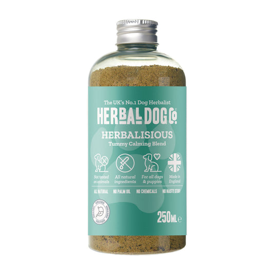 The Gut Health Powerful Probiotic Blend