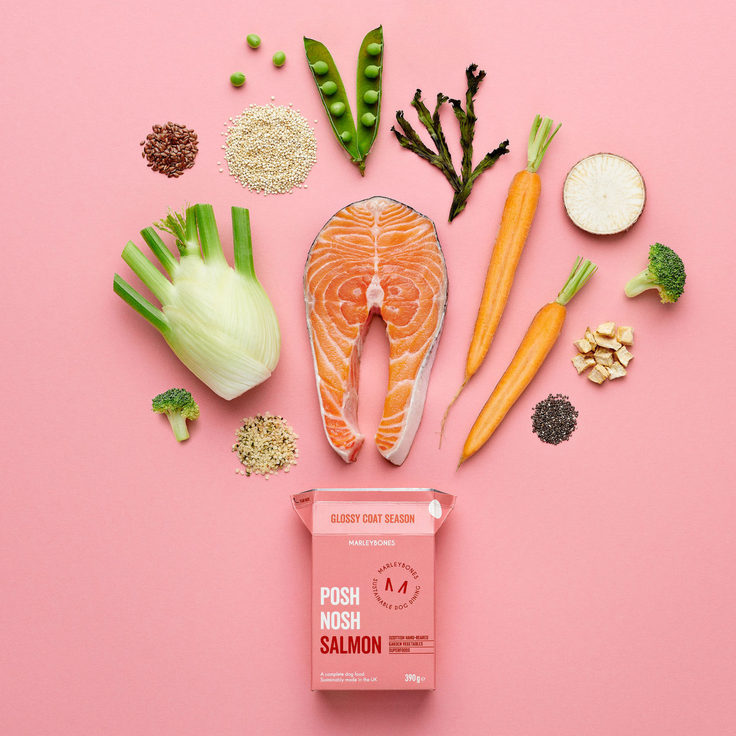 Posh Nosh Salmon Compete Food
