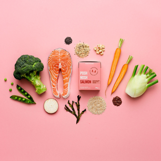 Posh Nosh Salmon Compete Food