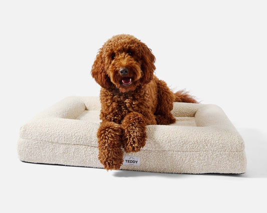 The Spaniel Size Boucle Bed