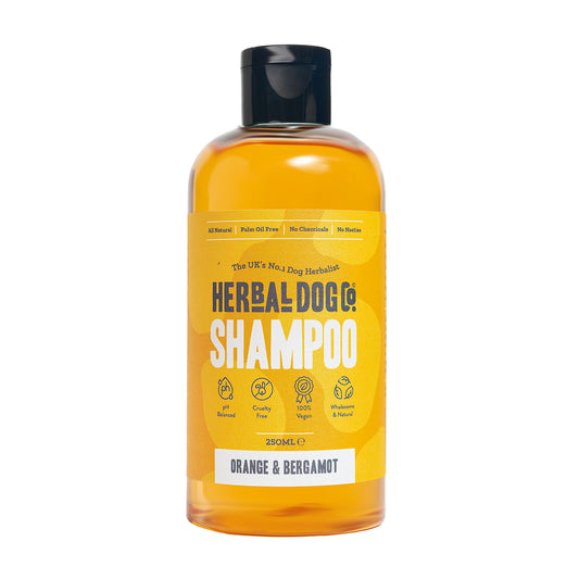 The Orange & Bergamot Natural Shampoo